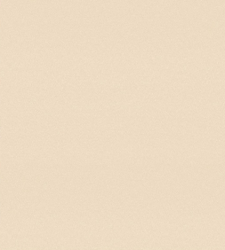 Clairefontaine PASTELMAT - papír na pastel (360 g/m2, 24 x 32 cm) - 1 arch - různé barvy
