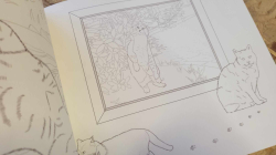 Masayuki Okis the Free-roaming Cats - JAPONSKO  