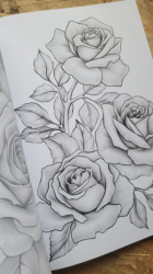 My Fantasy - Set of 3 - colouring set -  Mariola Budek
