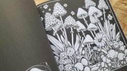 Mystical Blooming in the Good Witches' Midnight Garden - Mary Rowse