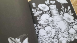 Mystical Blooming in the Good Witches' Midnight Garden - Mary Rowse
