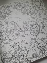 Natsuki Full of Flowers Fairy Tale Friends - Secret Invitation - JAPONSKO