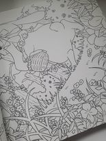 Natsuki Full of Flowers Fairy Tale Friends - Secret Invitation - JAPONSKO