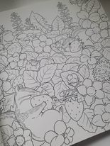 Natsuki Full of Flowers Fairy Tale Friends - Secret Invitation - JAPONSKO