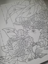 Natsuki Full of Flowers Fairy Tale Friends - Secret Invitation - JAPONSKO