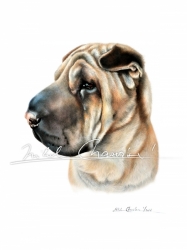 ART FABRIANO Disegno 4 SMOOTH - (220g/m2) Nikol - jednotlivé listy - 3 formáty