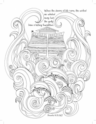 Noah's Ark Majestic Expressions Adult Coloring Book 