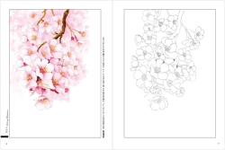 Nostalgic Seasonal Flowers - Coloring Book (Květy a rostliny každého ročního období) - JAPONSKO