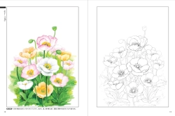 Nostalgic Seasonal Flowers - Coloring Book (Květy a rostliny každého ročního období) - JAPONSKO