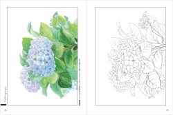 Nostalgic Seasonal Flowers - Coloring Book (Květy a rostliny každého ročního období) - JAPONSKO