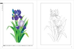 Nostalgic Seasonal Flowers - Coloring Book (Květy a rostliny každého ročního období) - JAPONSKO