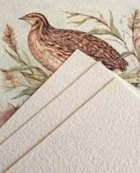 PALAZZO Elite Art - Watercolor sketchbook - akvarelový papír 100% bavlna - (300 g/m2, A5) - KŘEPELKA