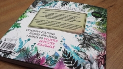 Po drugiej stronie snu - Karolina Kubikowska 