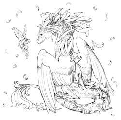 Pop manga Dragons and other magically mythical creatures Coloring Book - Camilla D'Errico - polské vydání