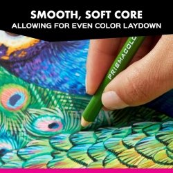 Prismacolor Premier Colored Pencils - umělecké pastelky - sada 150 ks