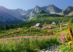 Puzzle Cherry Pazzi Good Times - Gasienicowa hall in Tatras-TATRY - 1000 dílků