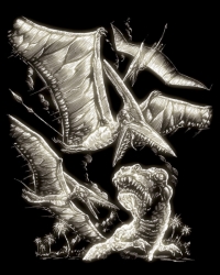 Engraving Art  - PTERODACTYL - Glow in the dark - vyškrabávácí obrázek