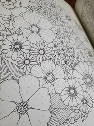Secret Garden - Johanna Basford: 10th Year Anniversary Edition