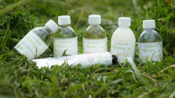 Sennelier Green for Oil - čistič štětců - 100 ml
