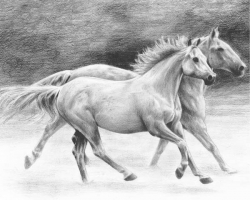 Sketching Made Easy - RUNNING FREE (Koně) - skicování obrázků