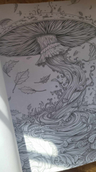 Surrealism Autumn Coloring Book- Max Brenner