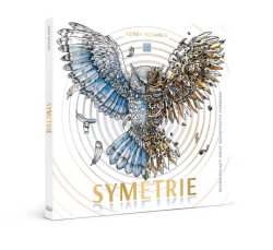 Symetrie (Reflections) - Zdumiewający świat niezwykłych harmonii - Kerby Rosanes - polské vydání