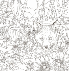 Symphony of Cute Animals - Kanoko Egusa - JAPONSKO