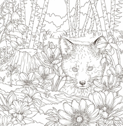 Symphony of Cute Animals Coloring Book