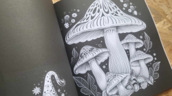 The Good Witches' Midnight Garden - Mary Rowse 