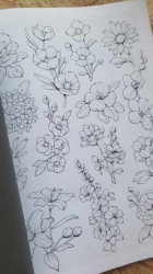 Tiny Magical Illustrations Practice Coloring Book