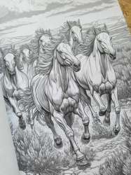 Wild Animal 2 Coloring Book - Max Brenner 