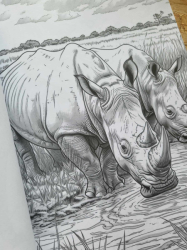 Wild Animal 2 Coloring Book - Max Brenner 