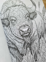 Wild Animal 2 Coloring Book - Max Brenner 