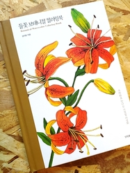 Wildflower botanical coloring book - KOREA