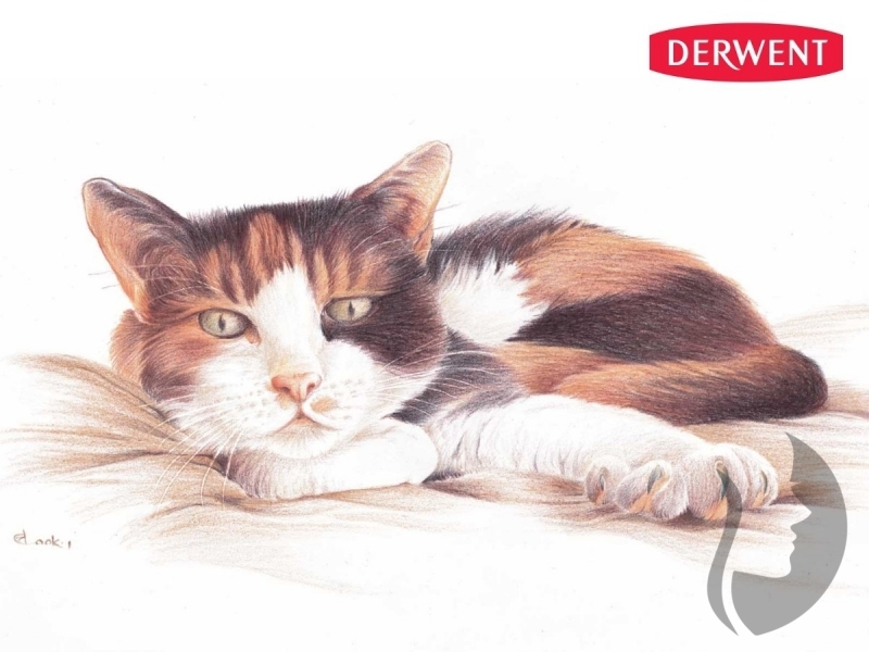 DERWENT Drawing - sada 72 ks -  měkké pastelky