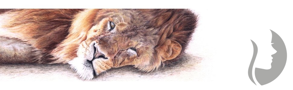 DERWENT Drawing - sada 72 ks -  měkké pastelky