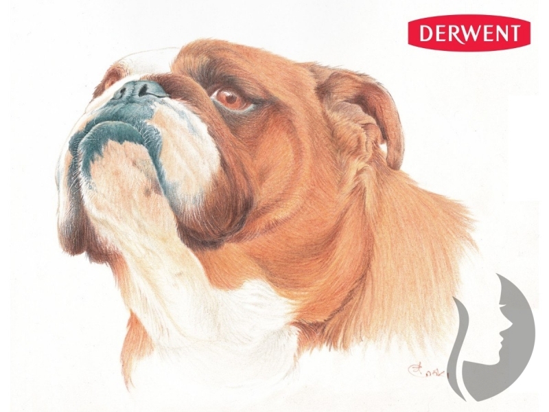 DERWENT Drawing - sada 72 ks -  měkké pastelky