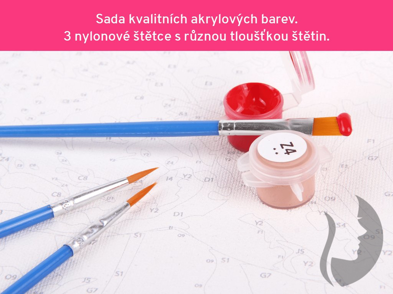 Malování podle čisel - Kráčející lev se lvíčetem - 40 x 50 cm - obtížnost 2 (snadné)