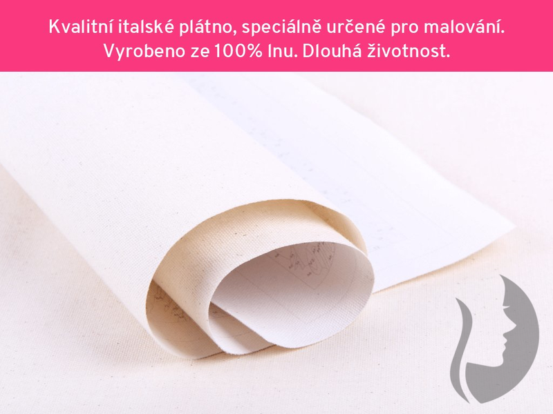 Malování podle čisel - Kráčející lev se lvíčetem - 40 x 50 cm - obtížnost 2 (snadné)