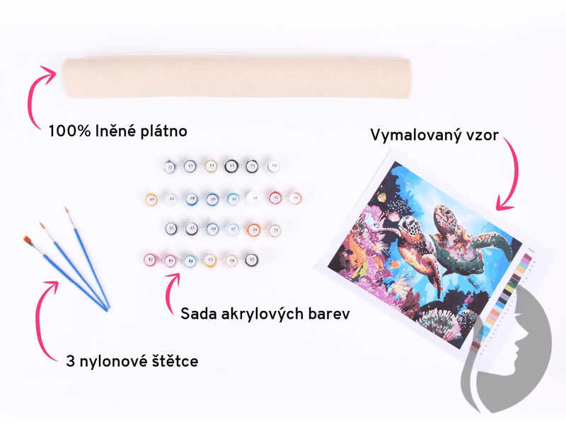 Malování podle čisel - Kráčející lev se lvíčetem - 40 x 50 cm - obtížnost 2 (snadné)