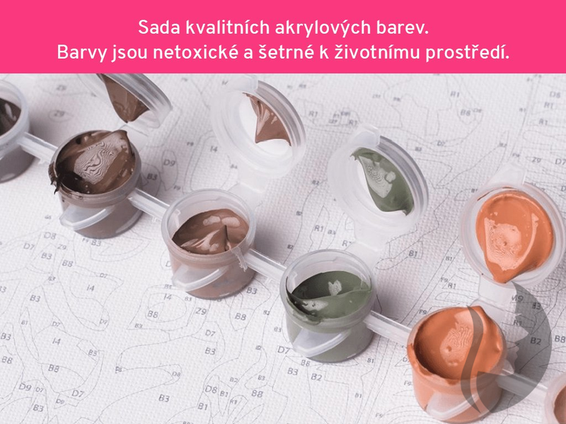 Malování podle čisel - Kráčející lev se lvíčetem - 40 x 50 cm - obtížnost 2 (snadné)