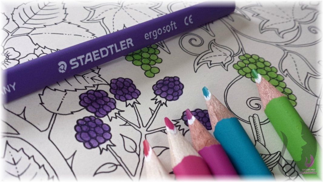 STAEDTLER Ergo Soft  trojhranná pastelka -  limitovaná edice Johanna Basford - 36 ks v plechu