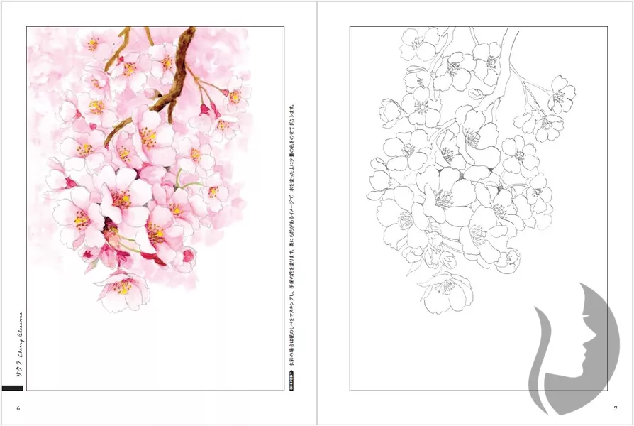Nostalgic Seasonal Flowers - Coloring Book (Květy a rostliny každého ročního období) - JAPONSKO