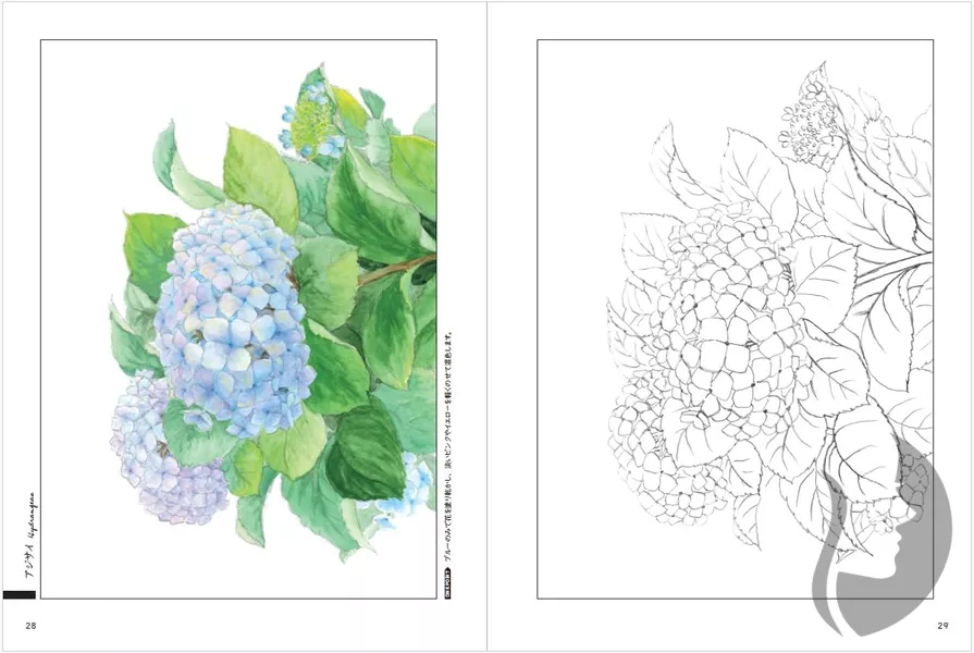 Nostalgic Seasonal Flowers - Coloring Book (Květy a rostliny každého ročního období) - JAPONSKO