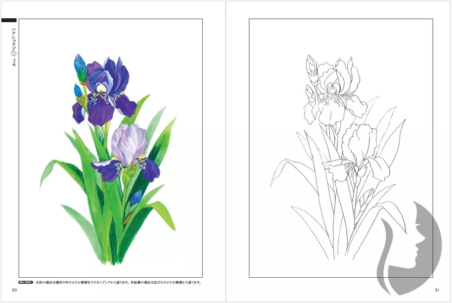 Nostalgic Seasonal Flowers - Coloring Book (Květy a rostliny každého ročního období) - JAPONSKO