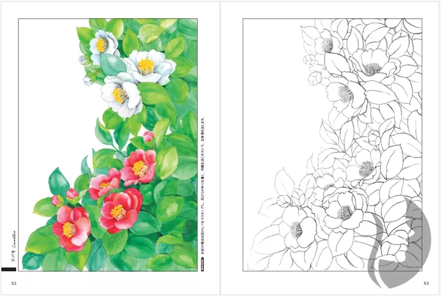 Nostalgic Seasonal Flowers - Coloring Book (Květy a rostliny každého ročního období) - JAPONSKO