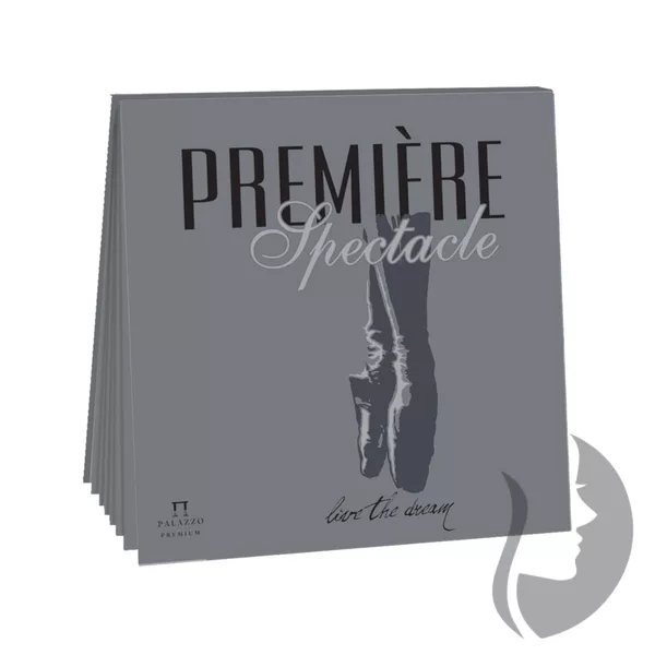 PALAZZO Premium - sketchbook - šedý papír - (300 g/m2, 21 x 21 cm) - PREMIERE - ŠEDÁ