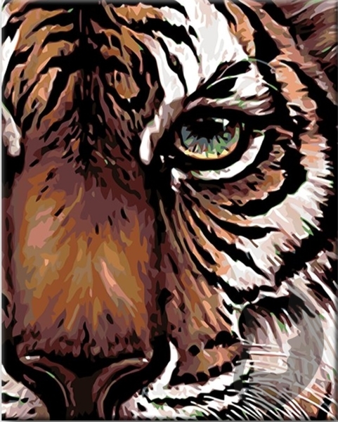 Malování podle čisel - Pohled tygra - 40 x 50 cm - obtížnost 3 (Střední) - kopie