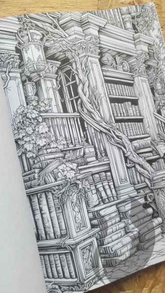 The Enchanted Library: A Coloring Book for Writers and Bookworms