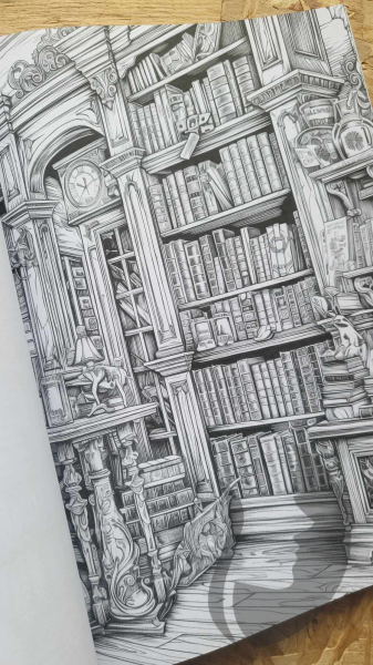 The Enchanted Library: A Coloring Book for Writers and Bookworms